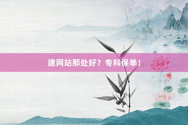建网站那处好？专科保举！