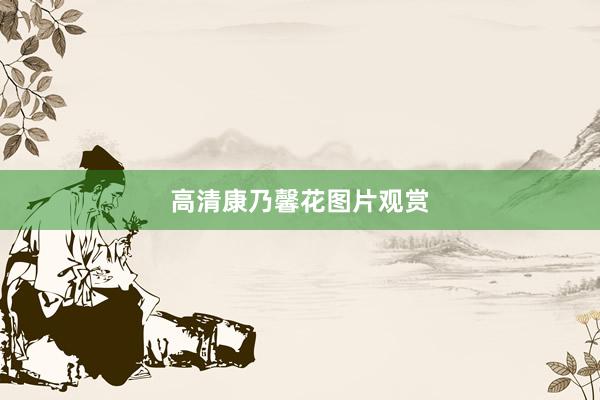 高清康乃馨花图片观赏